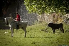 Imagen del encierro matinal de este Lavalenguas 2016./SN