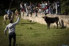 Imagen del encierro matinal de este Lavalenguas 2016./SN