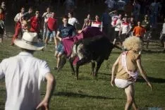Imagen de la tarde del Lavalenguas 2016. / SN