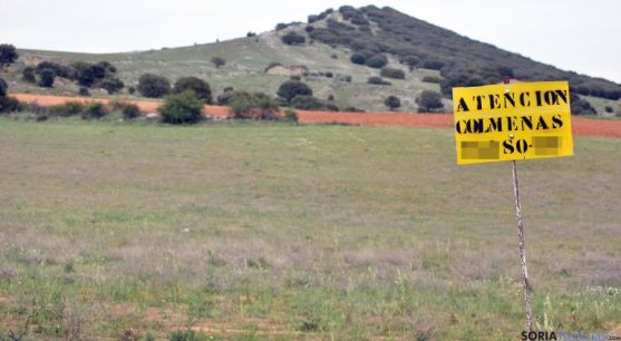 Un cartel señalizador de una explotación apícola en Soria./SN
