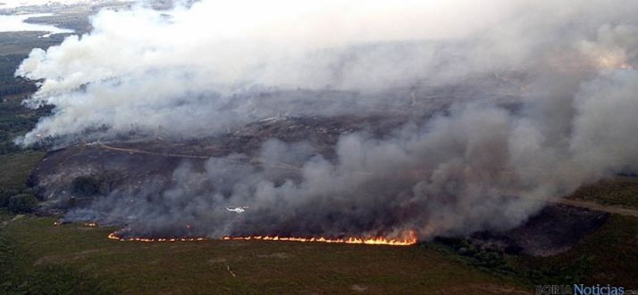 Fuego forestal en una imagen archivo.