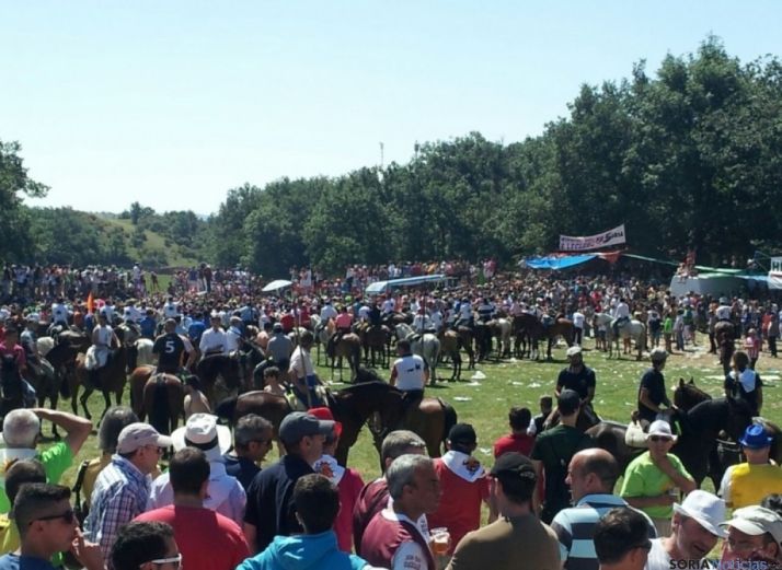 Se espera una Saca soleada. SN