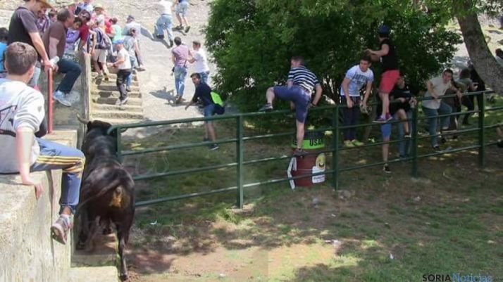 Un novillo trata de escaparse de Cañada Honda 