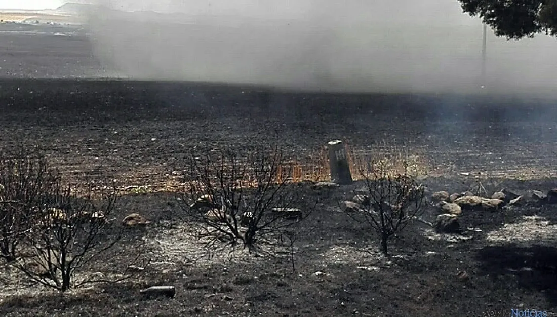 Imagen del incendio en Noviercas. / SN
