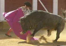 Una de las imágenes de la segunda de abono./SN