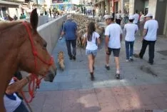 El paso de las merinas por la ciudad./SN