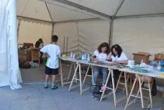 Imagen de la última jornada de las Miniolimpiadas Joven In. / SN