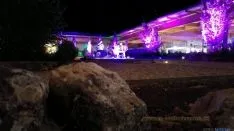 Belleza y arte en la velada nocturna. MA