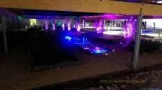 Belleza y arte en la velada nocturna. MA