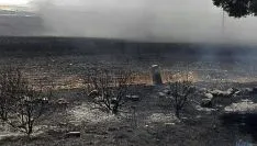 Imagen del incendio en Noviercas. / SN