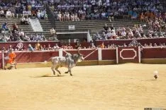 Viernes de Toros / María Ferrer