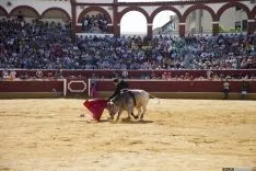 Viernes de Toros / María Ferrer