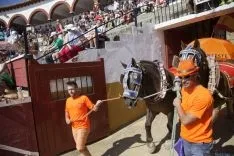 Viernes de Toros / María Ferrer