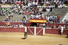 Viernes de Toros / María Ferrer