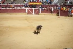 Viernes de Toros / María Ferrer