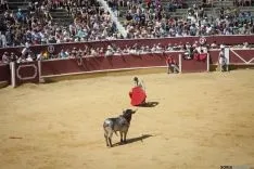 Viernes de Toros / María Ferrer