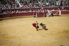 Viernes de Toros / María Ferrer
