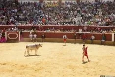 Viernes de Toros / María Ferrer