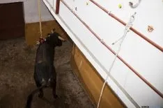 Viernes de Toros / María Ferrer