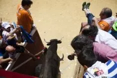 Viernes de Toros / María Ferrer