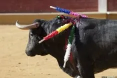 Sábado Ages / María Ferrer