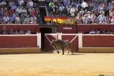 Sábado Ages / María Ferrer