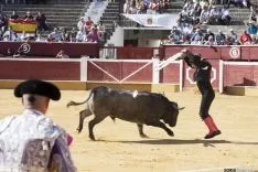 Sábado Ages / María Ferrer