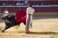 Domingo Calderas / María Ferrer