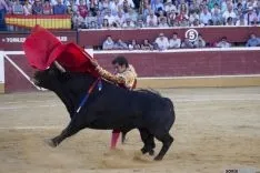 Domingo Calderas / María Ferrer