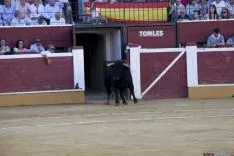 Domingo Calderas / María Ferrer