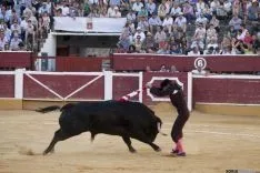 Domingo Calderas / María Ferrer