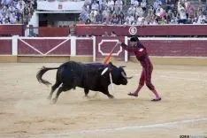 Domingo Calderas / María Ferrer