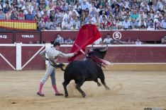 Domingo Calderas / María Ferrer
