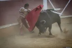 Domingo Calderas / María Ferrer
