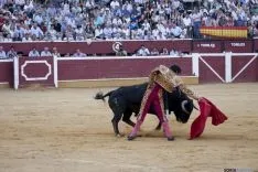 Domingo Calderas / María Ferrer