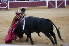 Domingo Calderas / María Ferrer