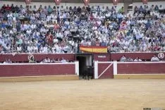 Domingo Calderas / María Ferrer