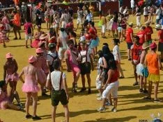 Novillada de la tarde del Viernes de Toros. /SN