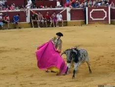 Novillada de la tarde del Viernes de Toros. /SN