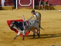 Novillada de la tarde del Viernes de Toros. /SN