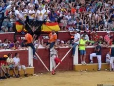 Novillada de la tarde del Viernes de Toros. /SN