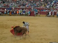 Novillada de la tarde del Viernes de Toros. /SN