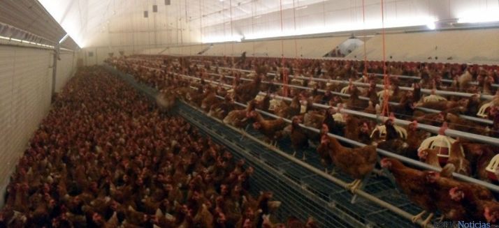 Granja La Cañada, en Aldealafuente./SN