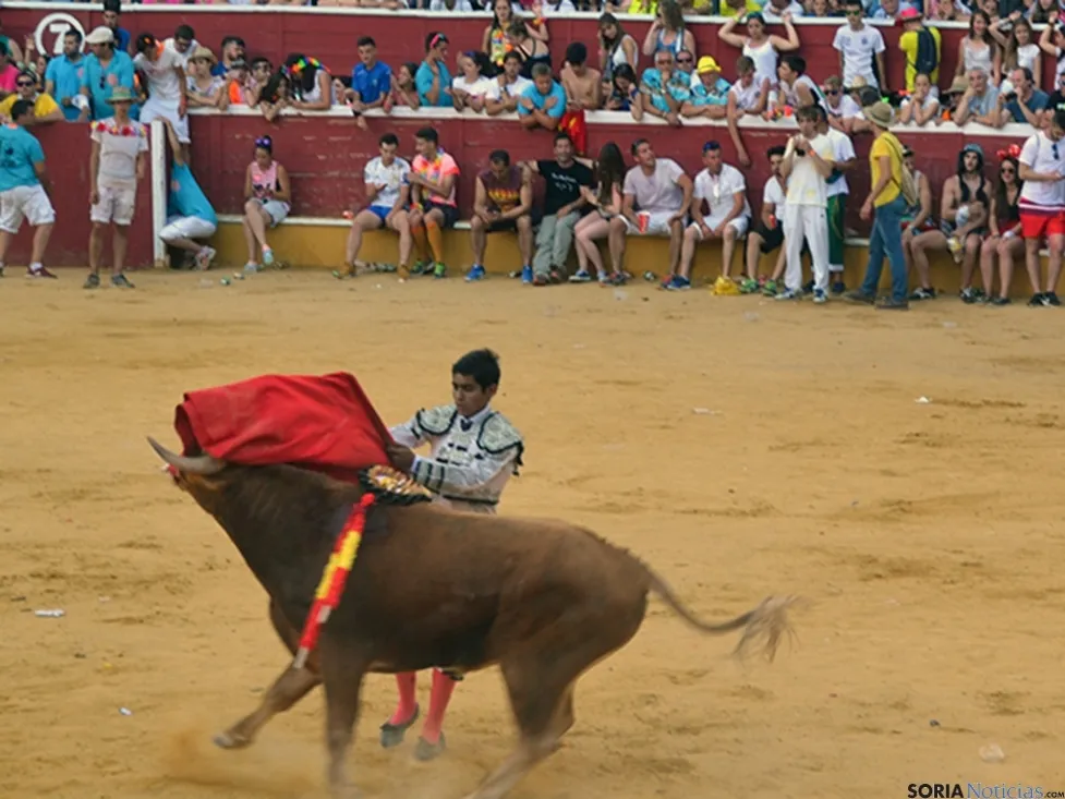Novillada de la tarde del Viernes de Toros. /SN