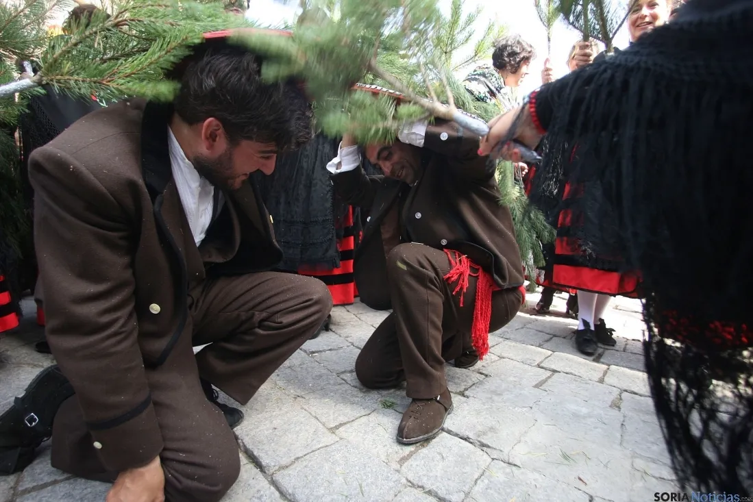 'La Pinochada' de Vinuesa (Soria).