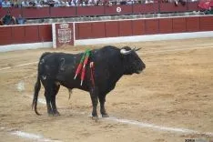 Imágenes del festejo. AG