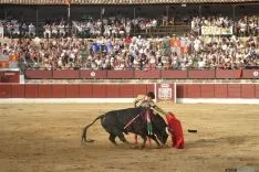 Imágenes del festejo. AG