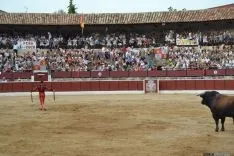 Imágenes del festejo. AG