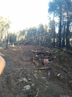 Imagen del incendio. / Á. Borque