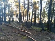 Imagen del incendio. / Á. Borque